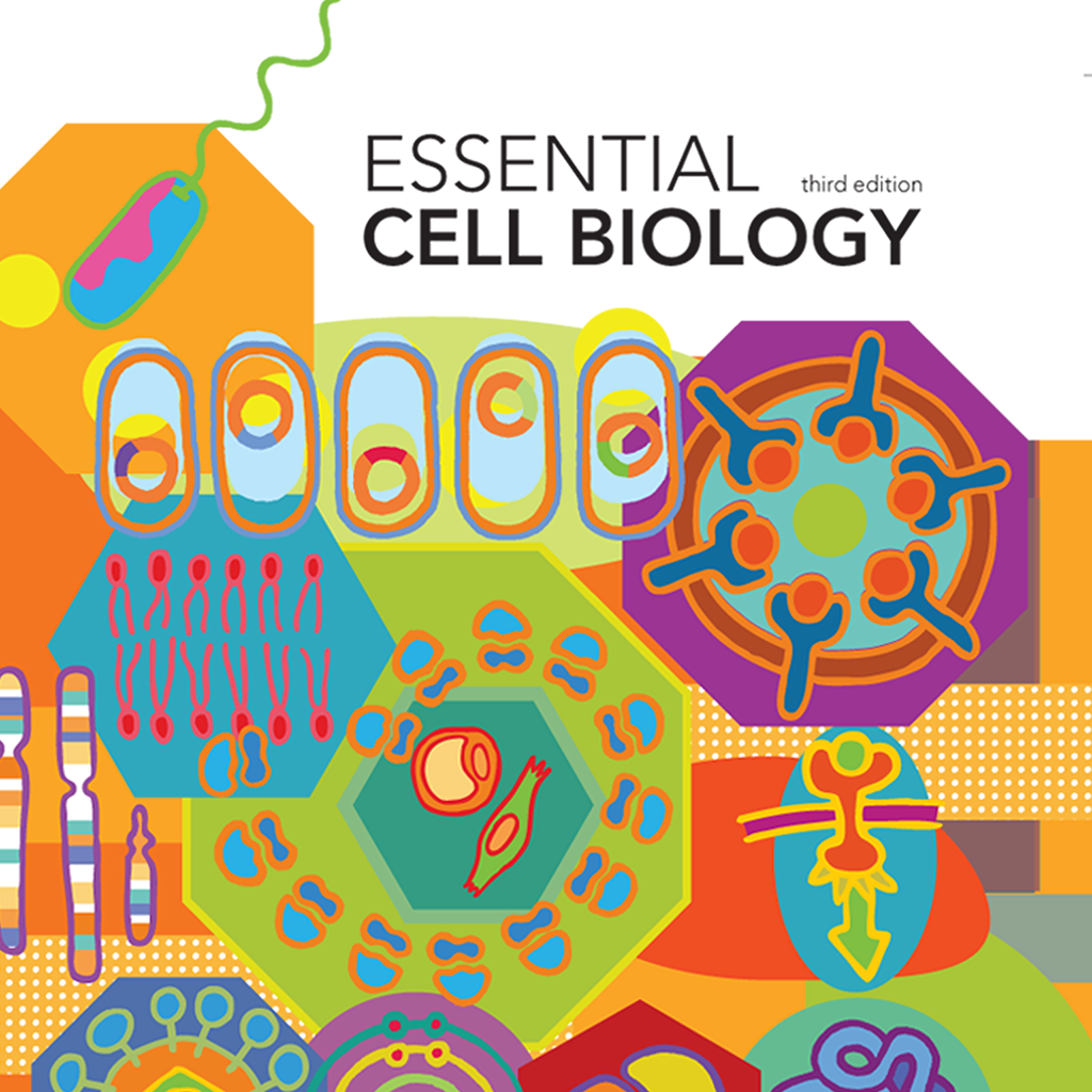 case studies in immunology answers case studies in immunology answers